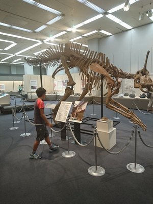 福島県立博物館まで かねぽん のんびり日記 Season2